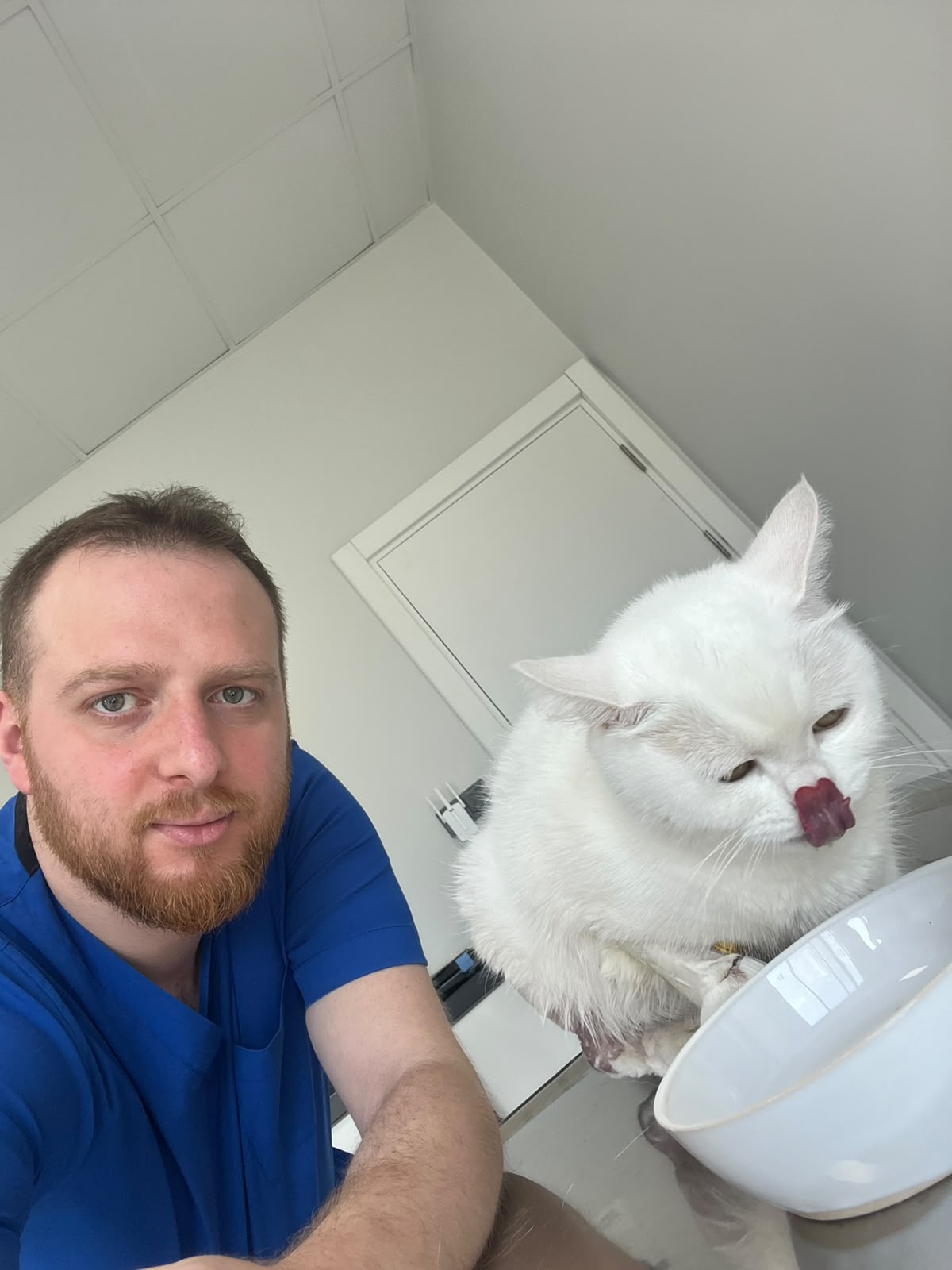 Barsvet ekibinden bir hekim ve hasta kedi